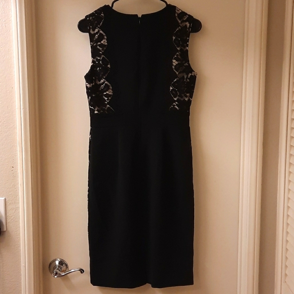 J. Crew Lace Panel Sheath Dress - Picture 9 of 12